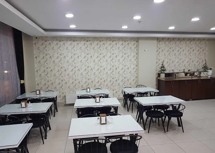 Lotus 酒店 科尼亚